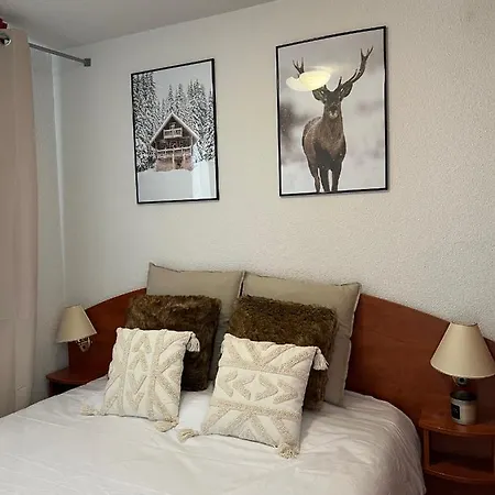 Apartment Magnifique 7 Pers Vue Pistes, Piscine, Wifi, Salle De Sport La Mongie