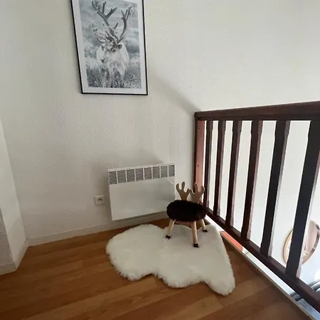 Apartment Magnifique 7 Pers Vue Pistes, Piscine, Wifi, Salle De Sport