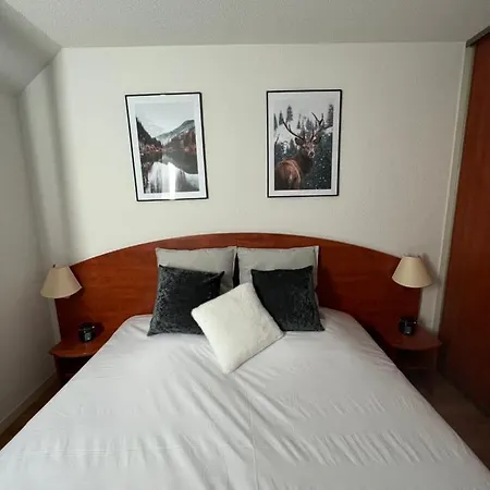 Apartment Magnifique 7 Pers Vue Pistes, Piscine, Wifi, Salle De Sport