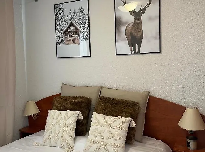 Appartamento Magnifique 7 Pers Vue Pistes, Piscine, Wifi, Salle De Sport La Mongie