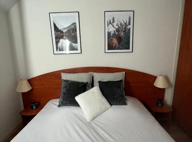 アパート Magnifique 7 Pers Vue Pistes, Piscine, Wifi, Salle De Sport